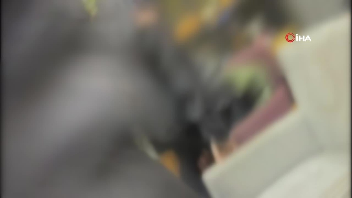 Esenyurt\'ta okey oynarken kadın tarafından böyle darp edildi