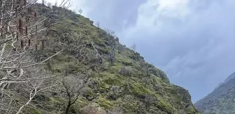 Bitlis'te kaybolan yaşlı adam için arama çalışmaları başlatıldı