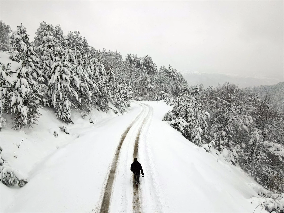 Kastamonu\'da Kar Yağışı Sonrası Beyaza Bürünen Ormanlar Görüntülendi
