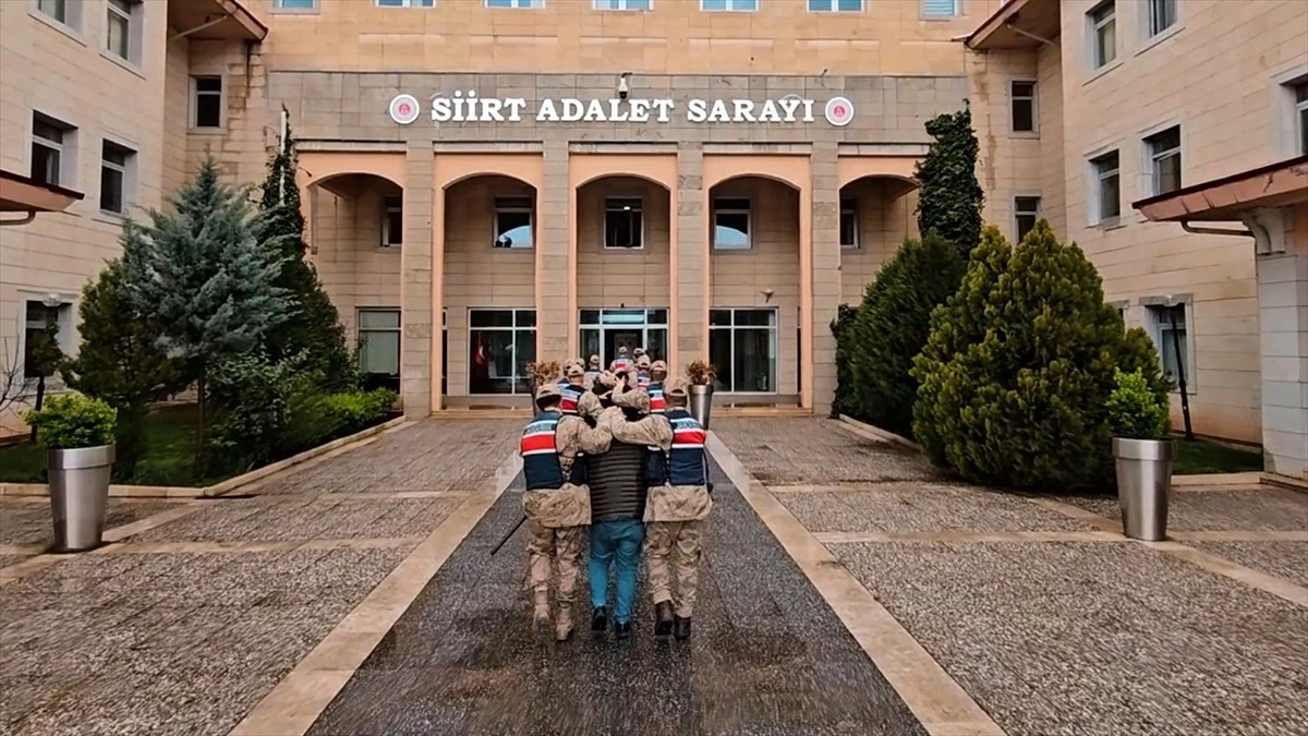 Siirt\'te düzenlenen operasyonda 15 bin 610 mermi ele geçirildi, 5 şüpheli tutuklandı