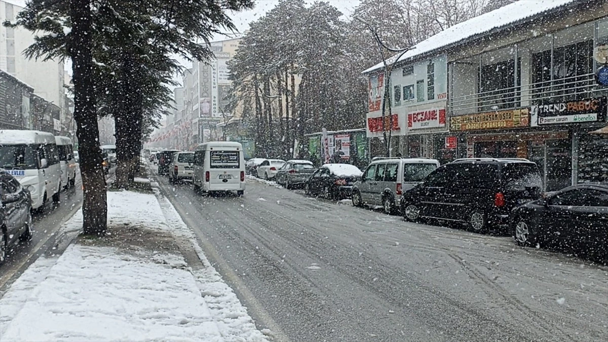 Tatvan\'da Kar Yağışı Etkili Oldu