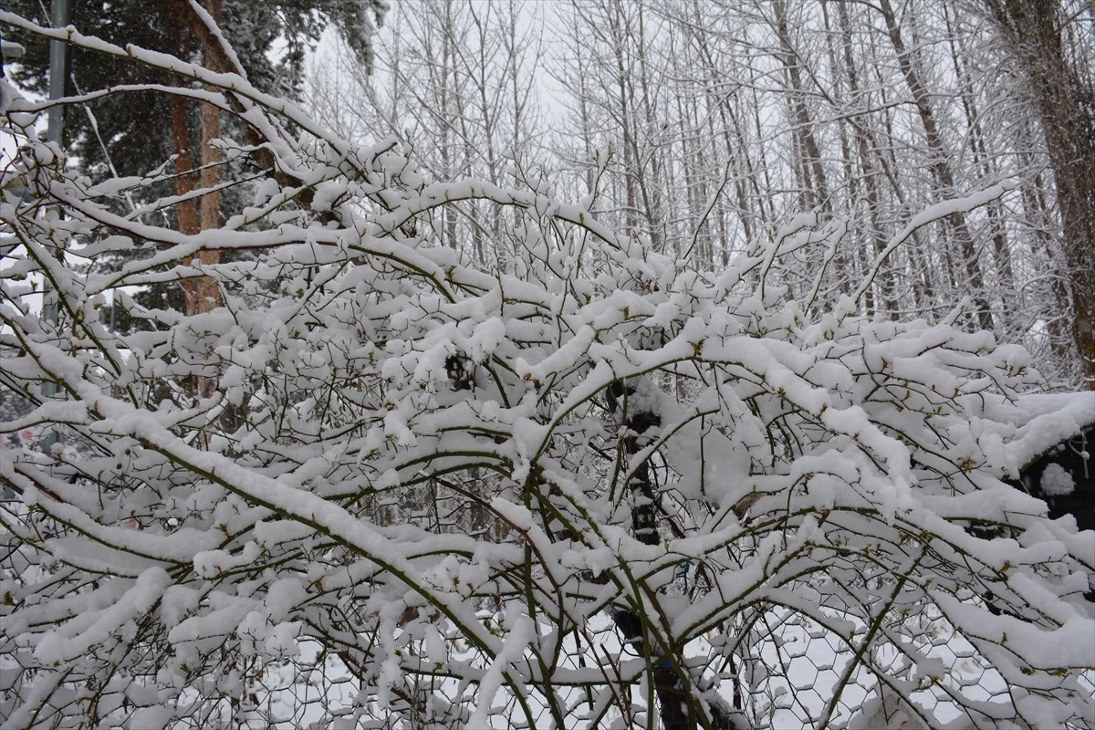 Tokat\'ta kar yağışı etkili oldu