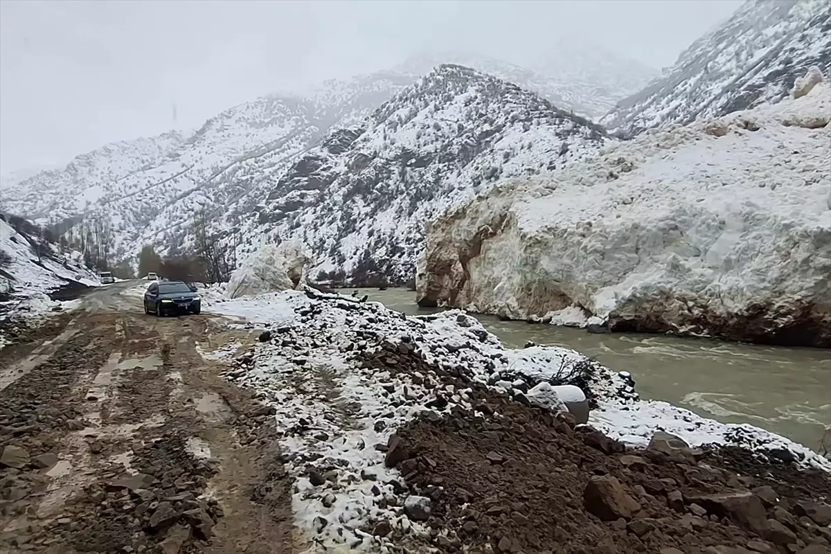 Van\'da çığ nedeniyle kapanan Çatak-Pervari kara yolu açıldı