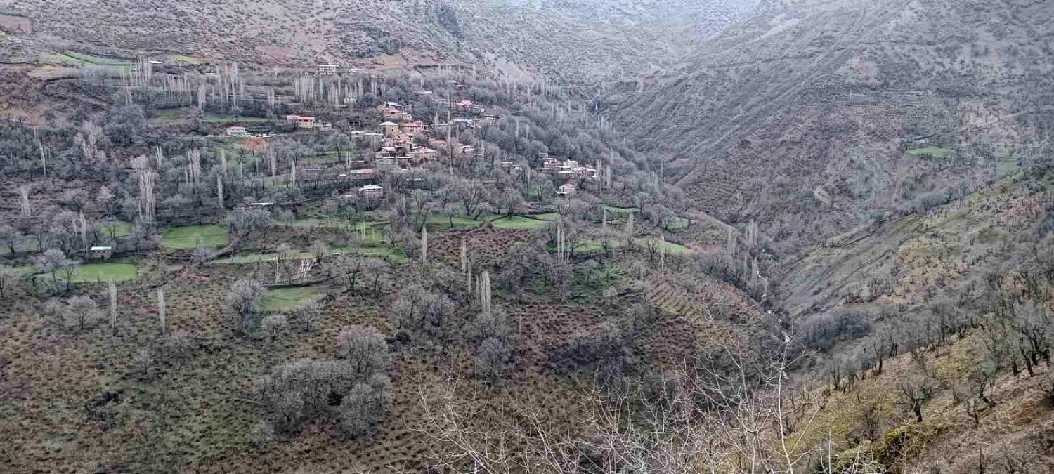 Bitlis\'te kaybolan yaşlı adam için arama çalışması başlatıldı