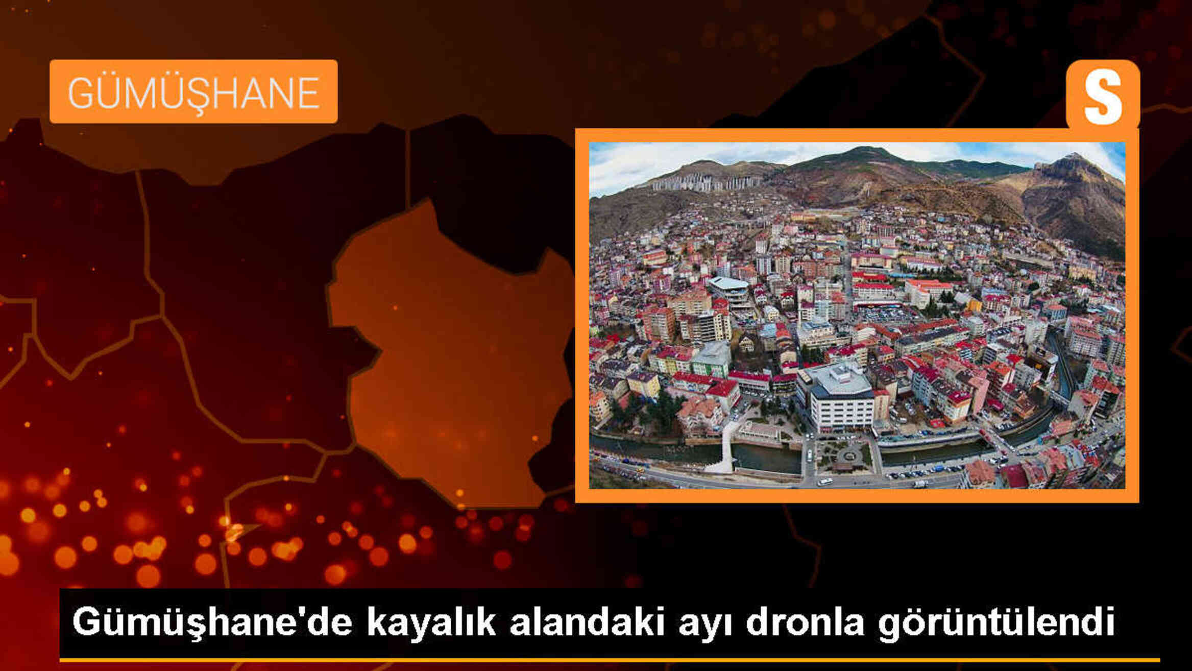 Gümüşhane\'de kayalık alandaki ayının dronla görüntüleri