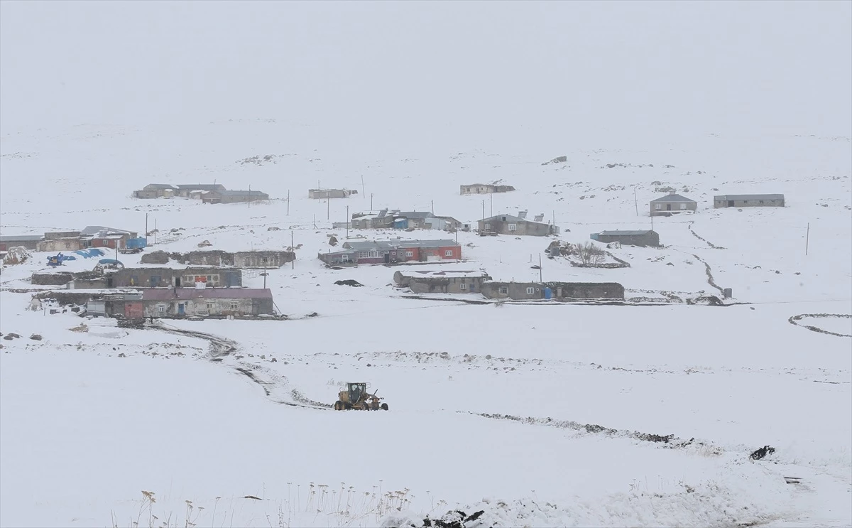 Kars\'ta Kar Kaplanları Yolları Açıyor