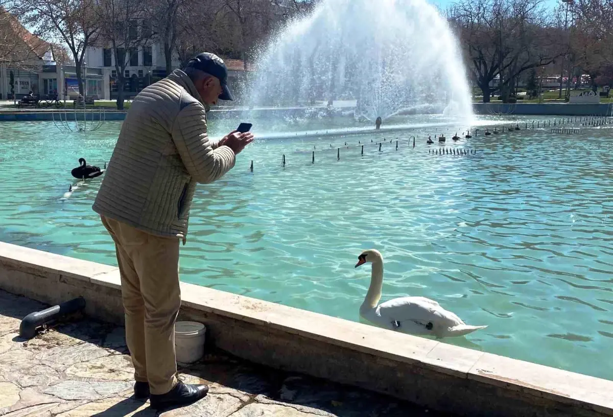 Konya Kültürpark\'ta Kuğuların İlgi Odağı