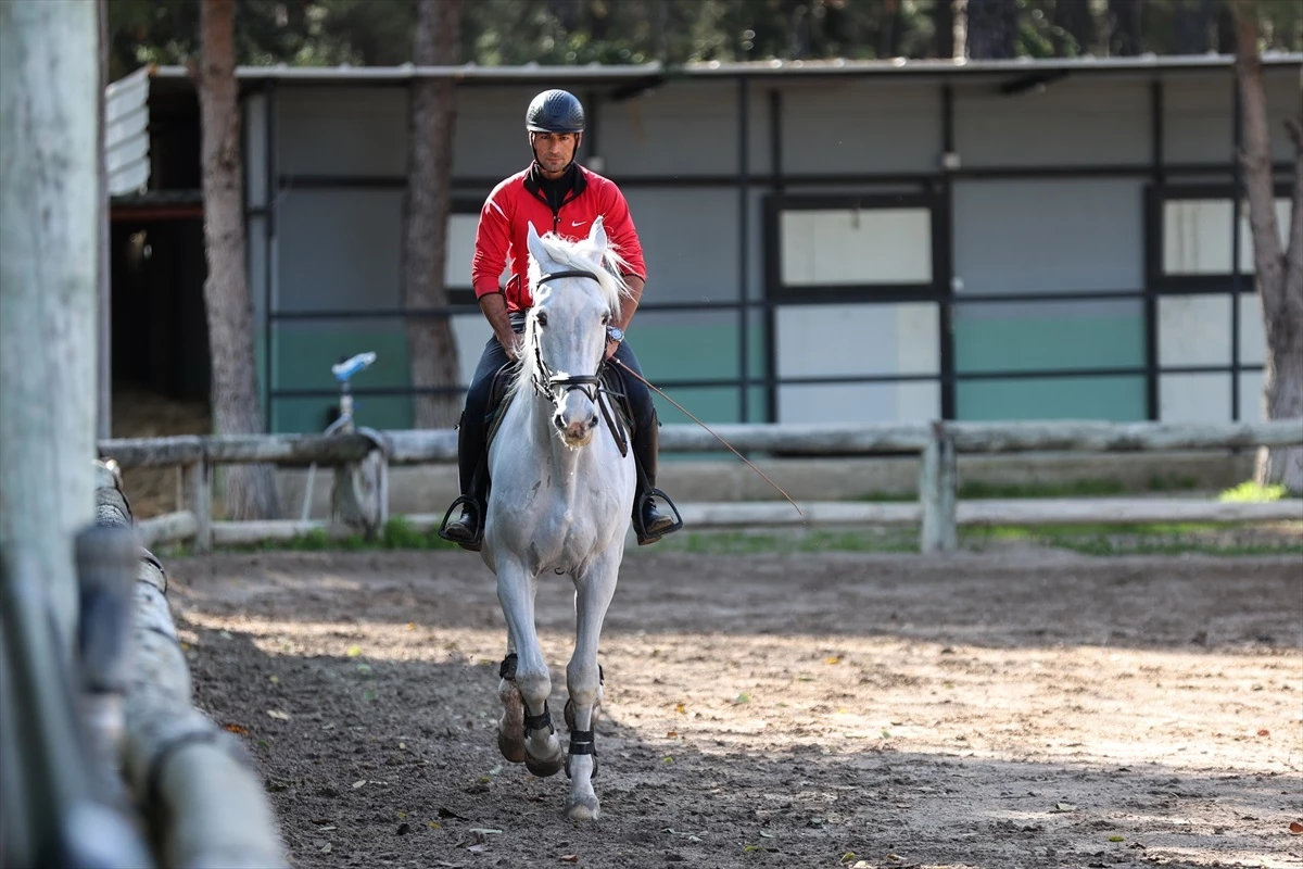 Antalya\'da At Oteli: Milyon Dolarlık Atlar Yarışlara Hazırlanıyor