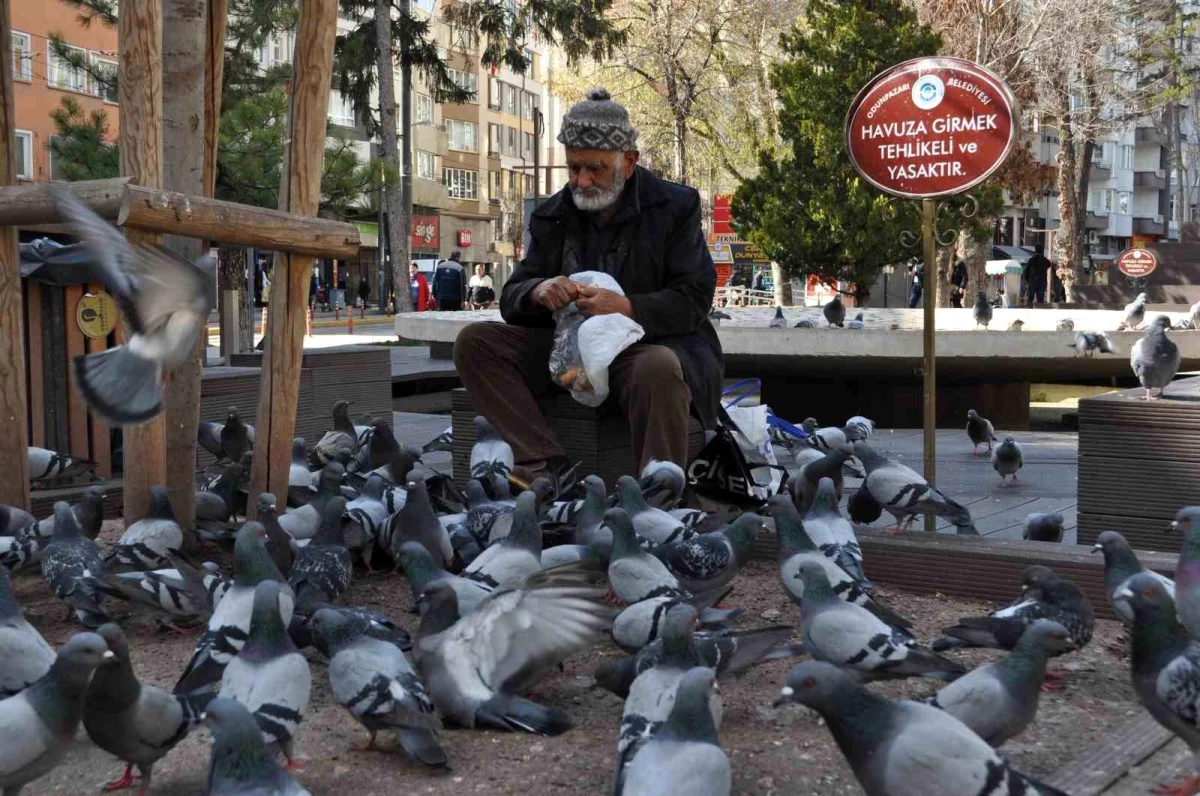 Eskişehir\'de Ömer Karakaya, Sokaktaki Kuşları Besliyor