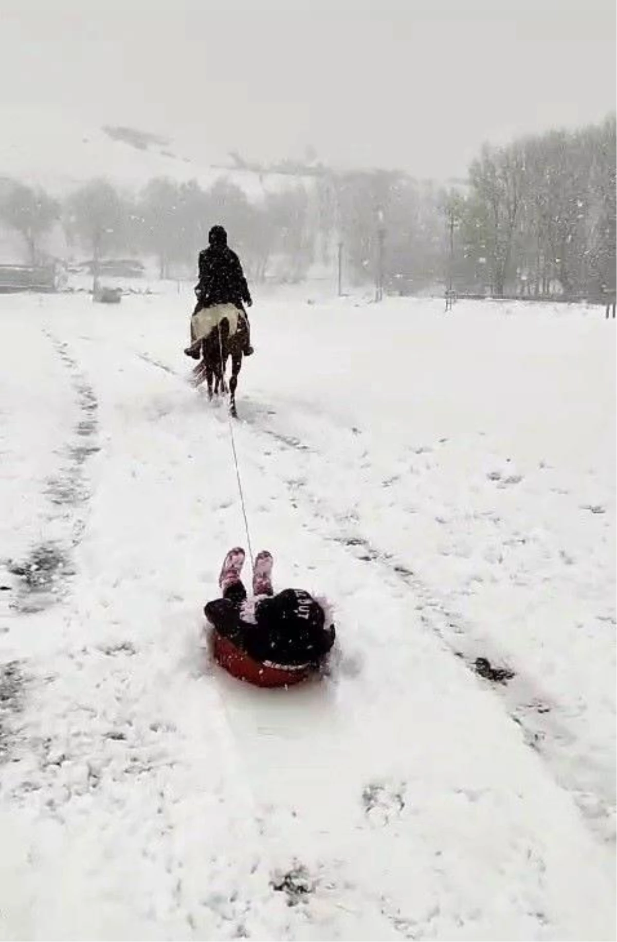 Erzurum\'un Dumlu Mahallesinde at çiftliği karı eğlenceye dönüştürdü