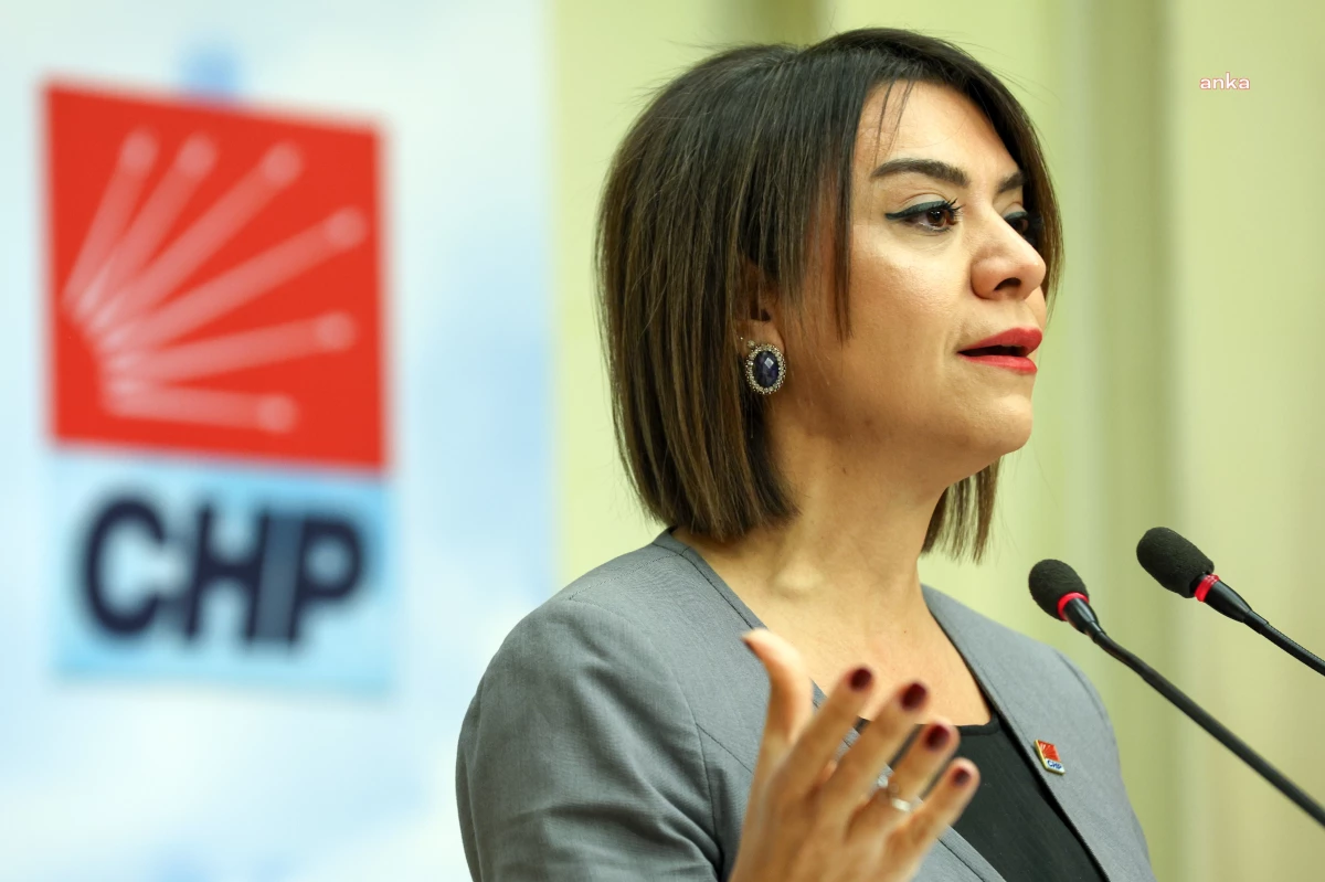 CHP Milletvekili Gamze Taşcıer: Emeklinin değeri AKP için sadece söylemde var