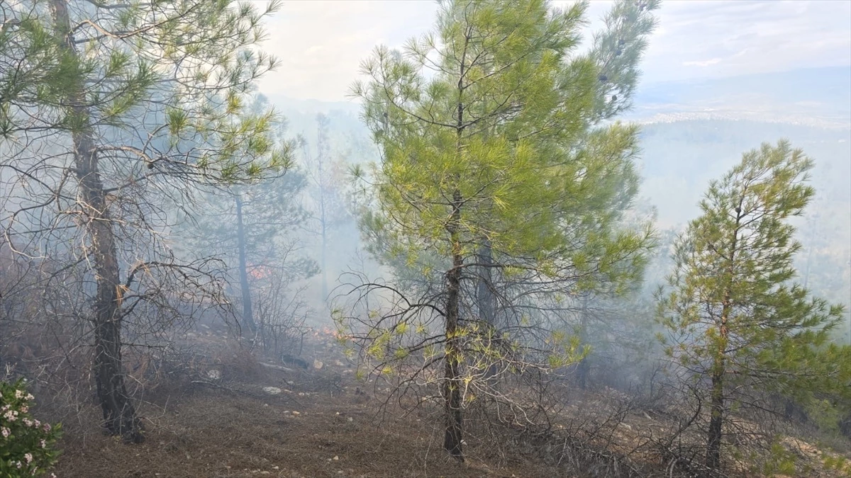 Mersin Gülnar\'da Orman Yangını Kontrol Altına Alındı