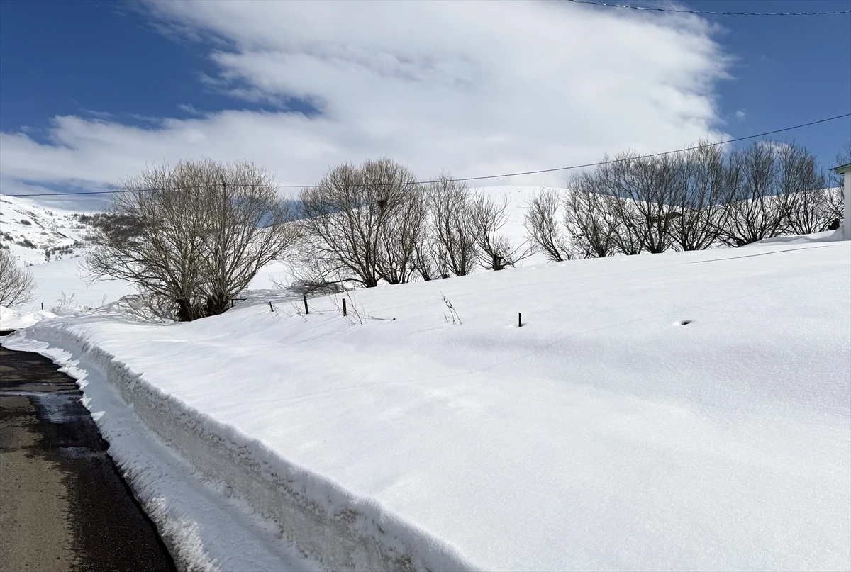 Kars ve Ardahan\'da Kar Yağışı ve Soğuk Hava Etkili Oldu