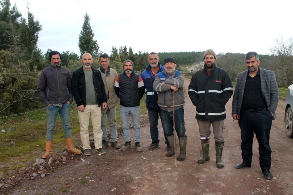 Kocaeli\'de Ahırlardan 200 İnek Çalındı