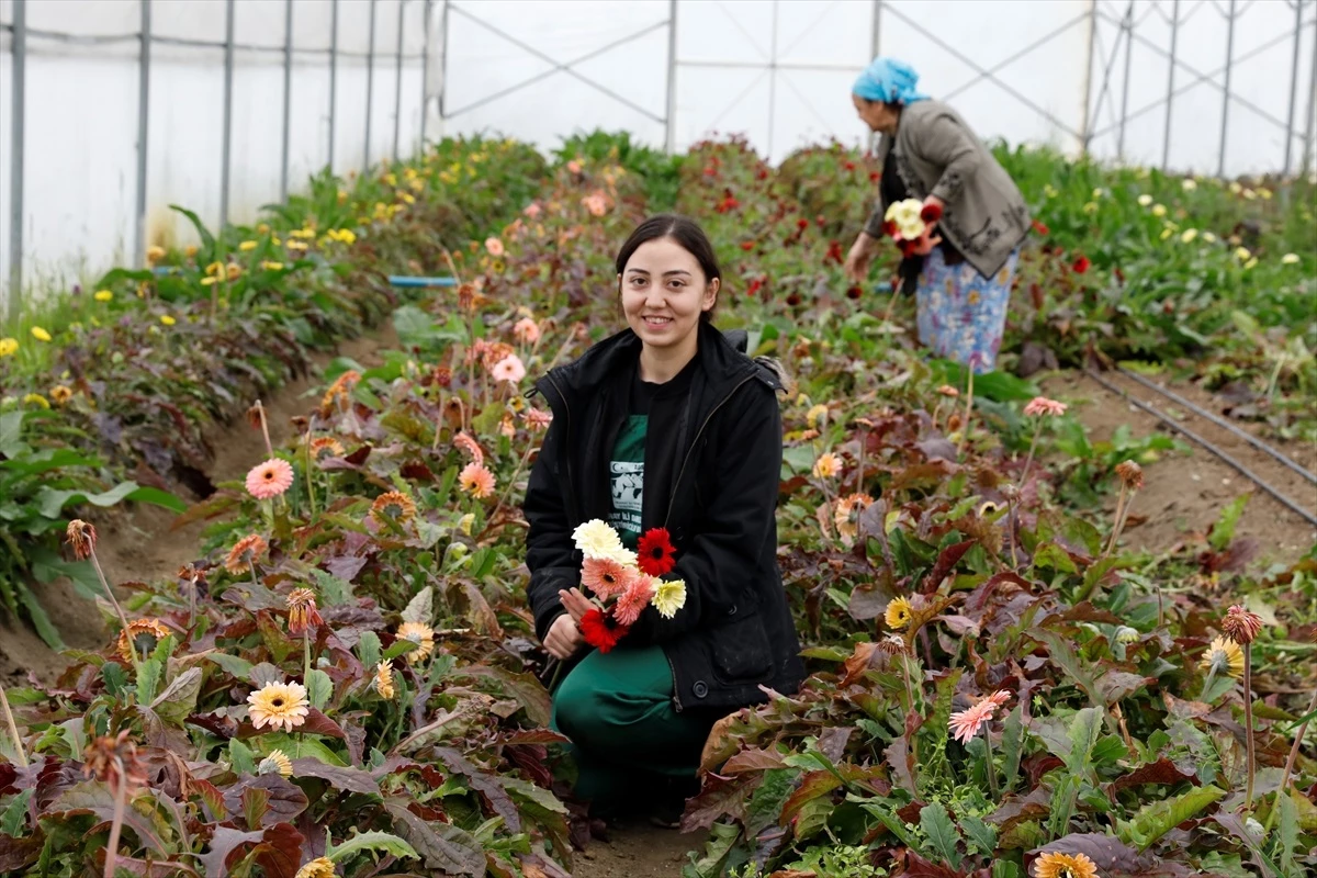 Samsun\'da genç kadın çiftçi, destekle işlerini büyüttü