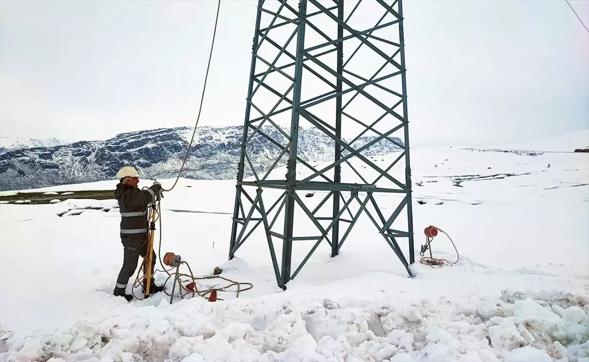 Siirt Pervari\'de kar ve tipi nedeniyle elektrik arızası giderildi