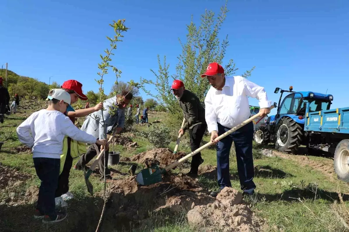 Talas Belediyesi Yeşil Alan ve Park Çalışmalarıyla Öne Çıkıyor