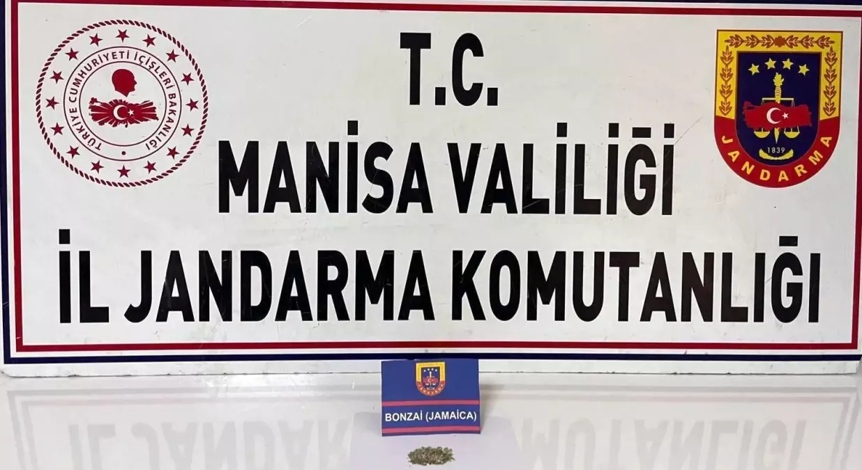 Manisa\'da Jandarma Ekipleri Şüpheliden 3.7 Gram Bonzai Ele Geçirdi