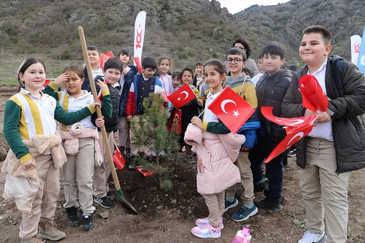 Amasya\'da Orman Haftası Etkinliğinde 500 Fidan Dikildi