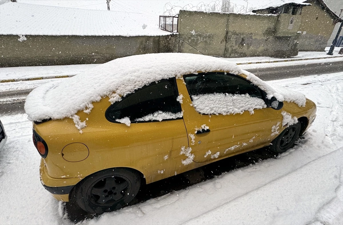 Erzurum, Ardahan ve Kars\'ta Kar Yağışı Etkili