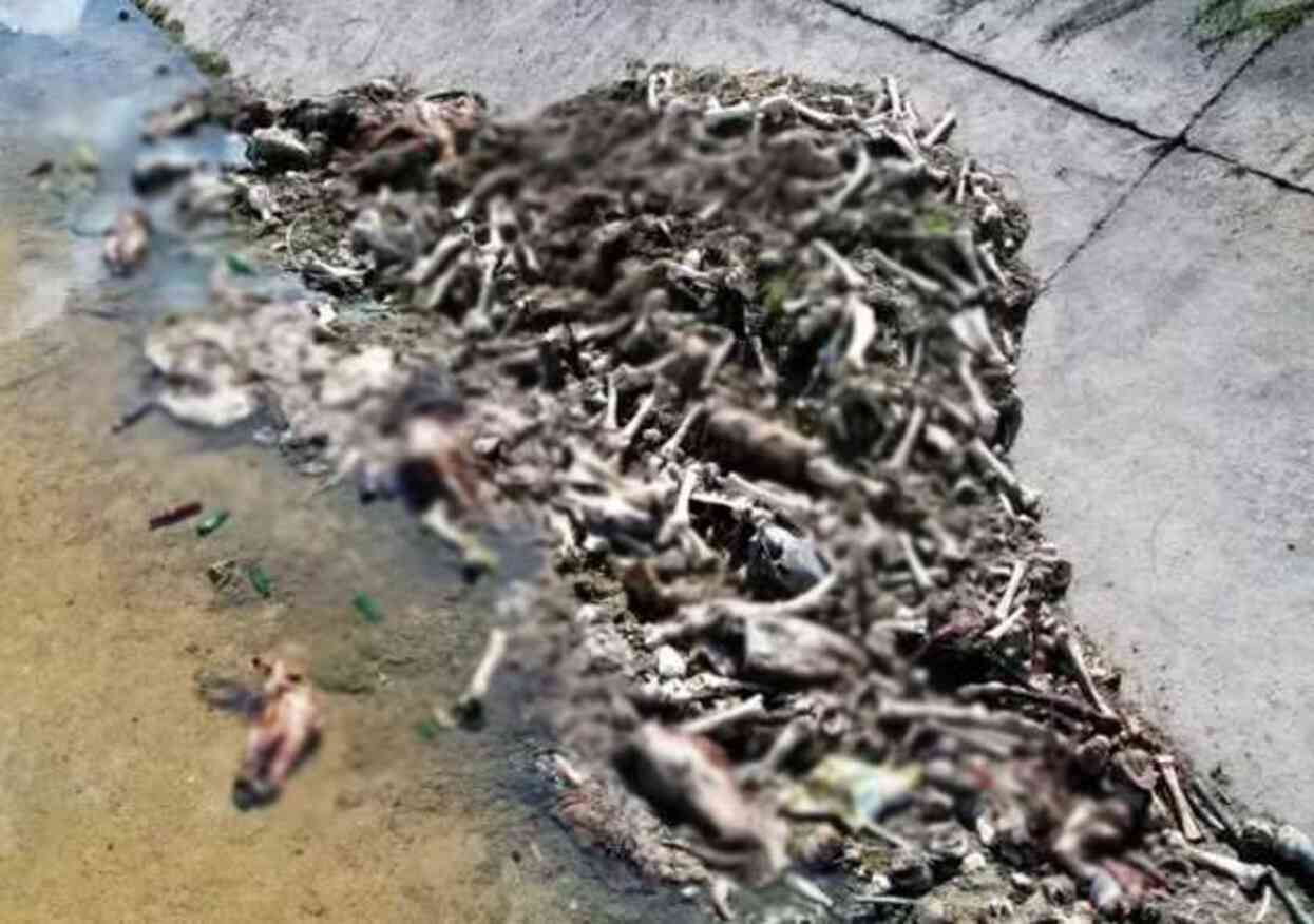 Adana Kasaplar Odası Başkanı: At eti sulu olur, pişirdiğinizde suyu mangalı söndürür Adana Kasaplar Odası Başkanı: At eti sulu olur, pişirdiğinizde suyu mangalı söndürür