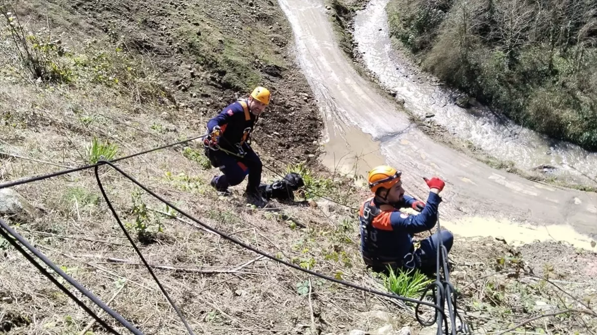 Giresun\'da uçurumdan düşen köpek AFAD ekipleri tarafından kurtarıldı