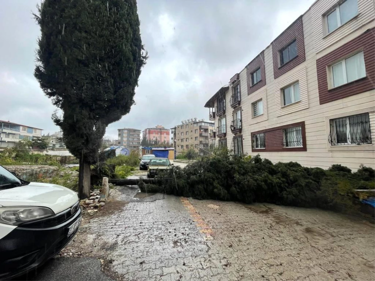 Antakya\'da kuvvetli fırtına nedeniyle ağaç yola devrildi