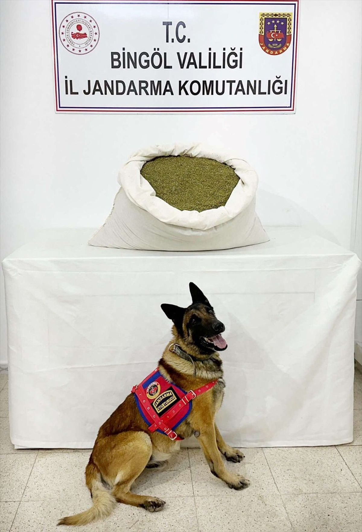 Bingöl\'ün Genç ilçesinde 18 kilo 500 gram toz esrar ele geçirildi