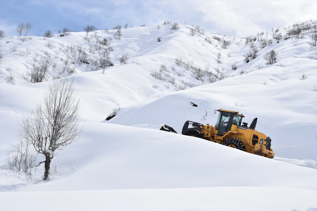 Bitlis\'te karla mücadele çalışmaları sürüyor
