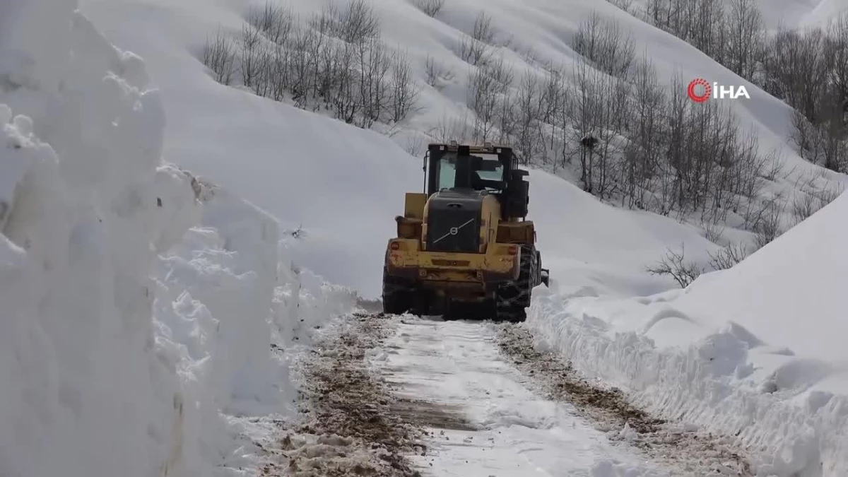 Bitlis\'te karla mücadele çalışması devam ediyor