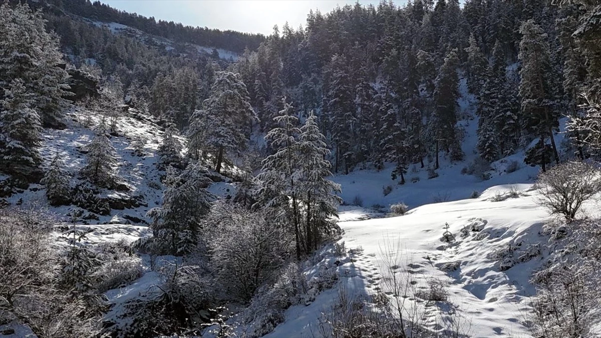 Erzurum, Ardahan, Ağrı ve Kars\'ta kar yağışının ardından soğuk hava yaşamı olumsuz etkiliyor