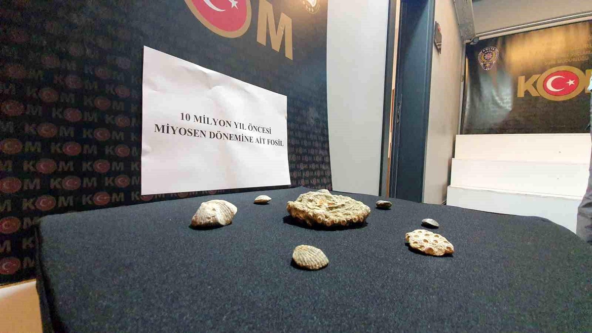 Kayseri\'de 10 milyon yıllık 8 parça fosil ele geçirildi