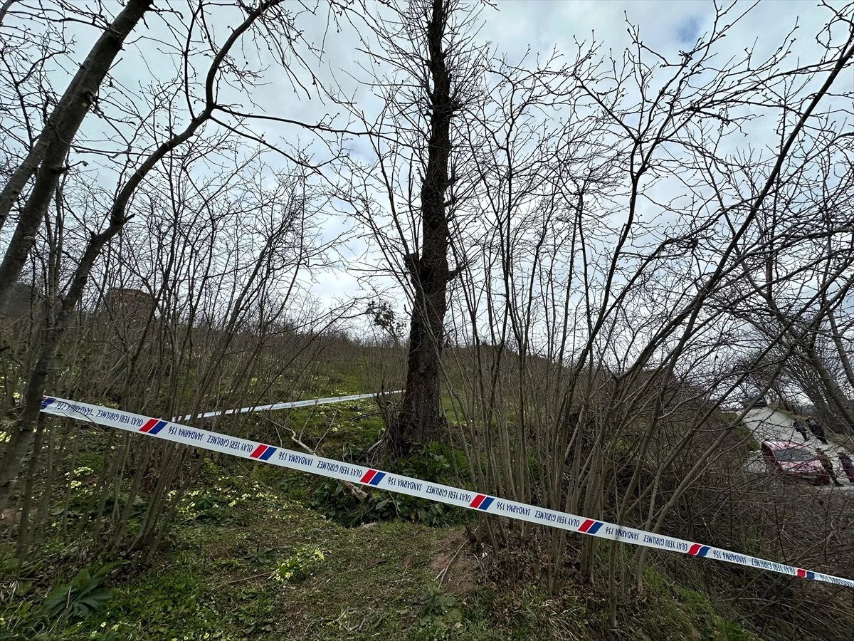Ordu\'da ağaçtan düşen kişi hayatını kaybetti