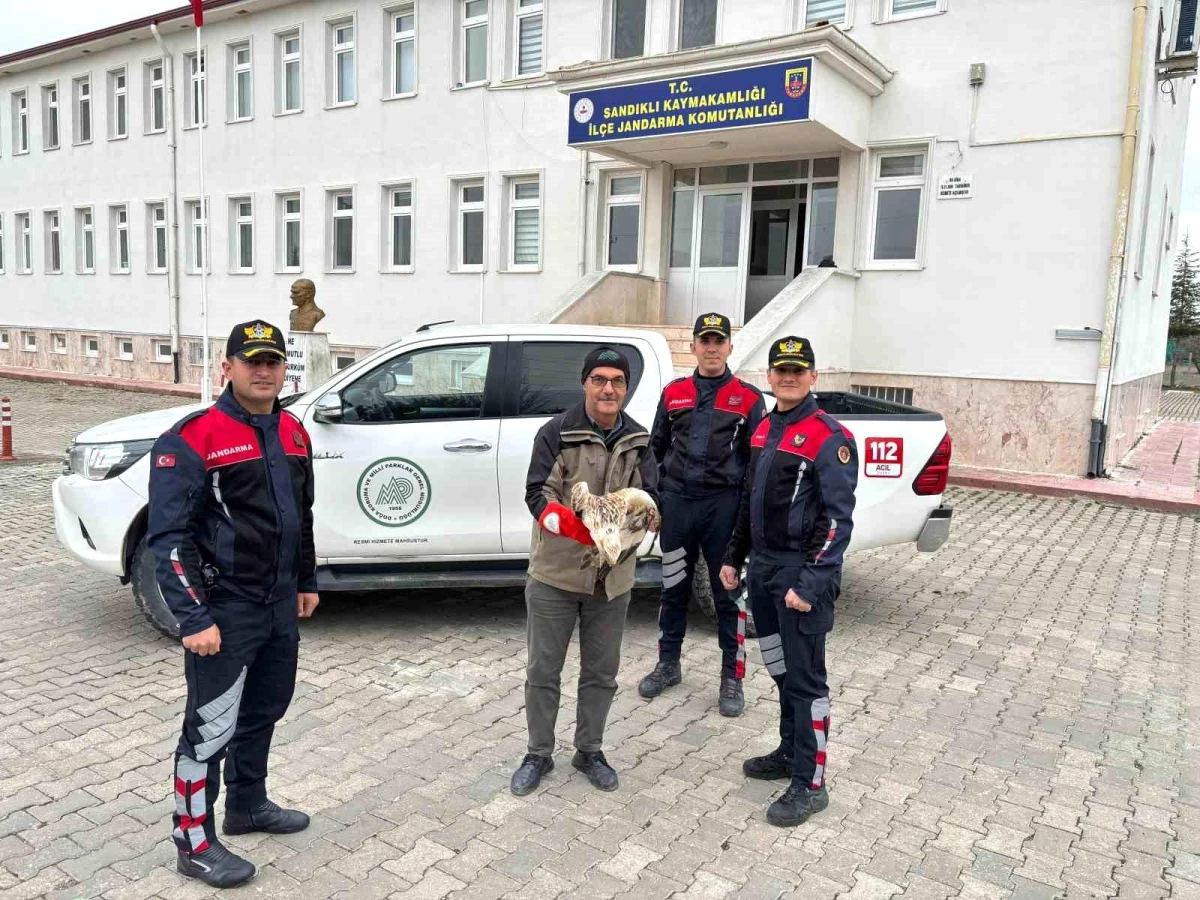 Afyonkarahisar İl Jandarma Komutanlığı Yaralı Kızıl Şahini Tedavi İçin Yetkililere Teslim Etti
