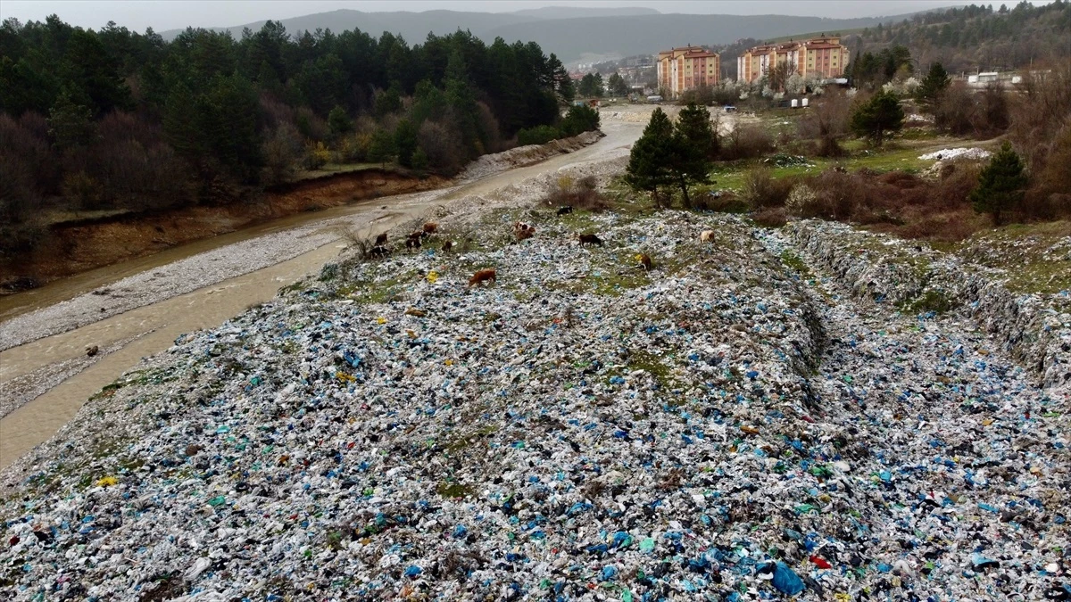 Mengen\'deki Çöp Döküm Alanı Çevre Kirliliğine Neden Oluyor