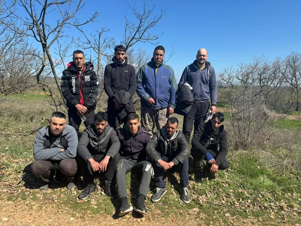 Edirne\'de yasa dışı yollarla yurda giren 9 düzensiz göçmen yakalandı