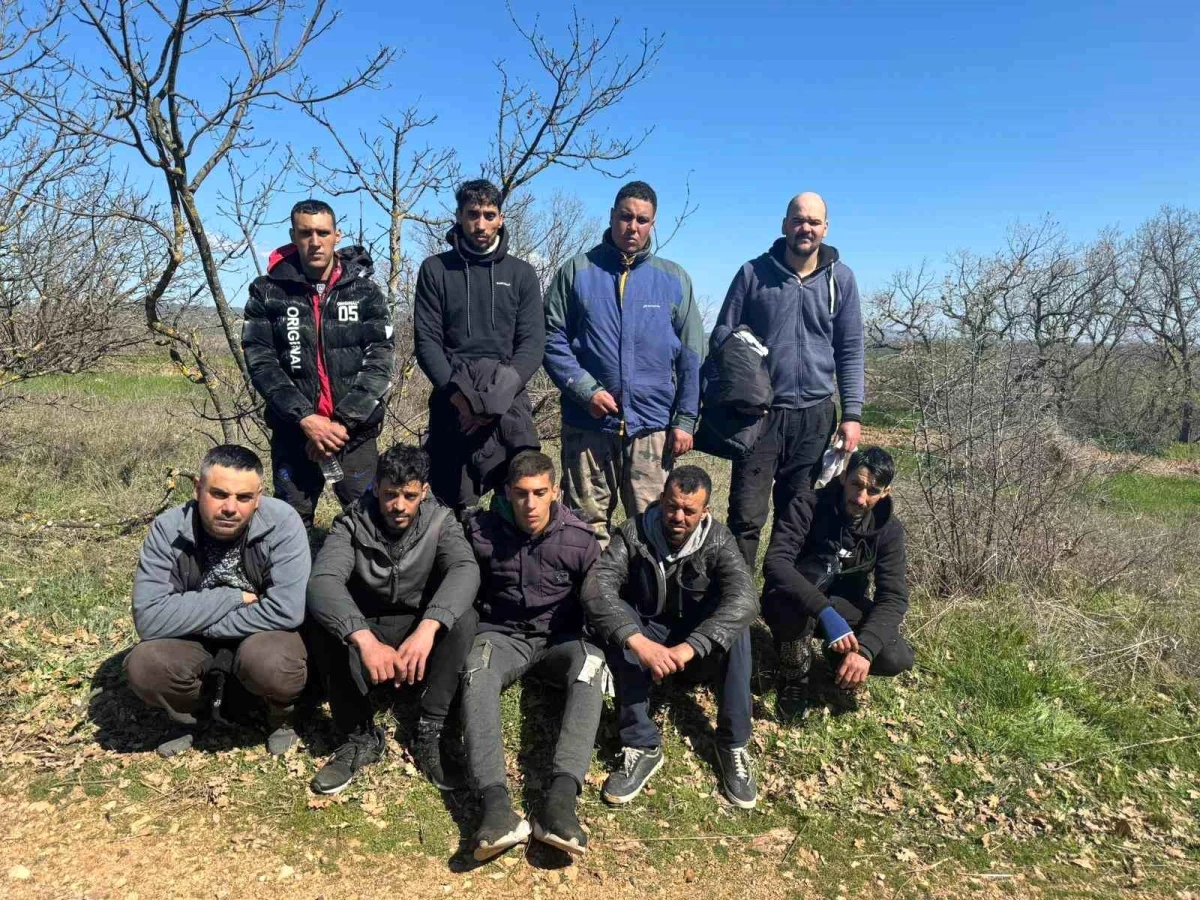 Edirne\'de yapılan denetimlerde 9 kaçak göçmen yakalandı