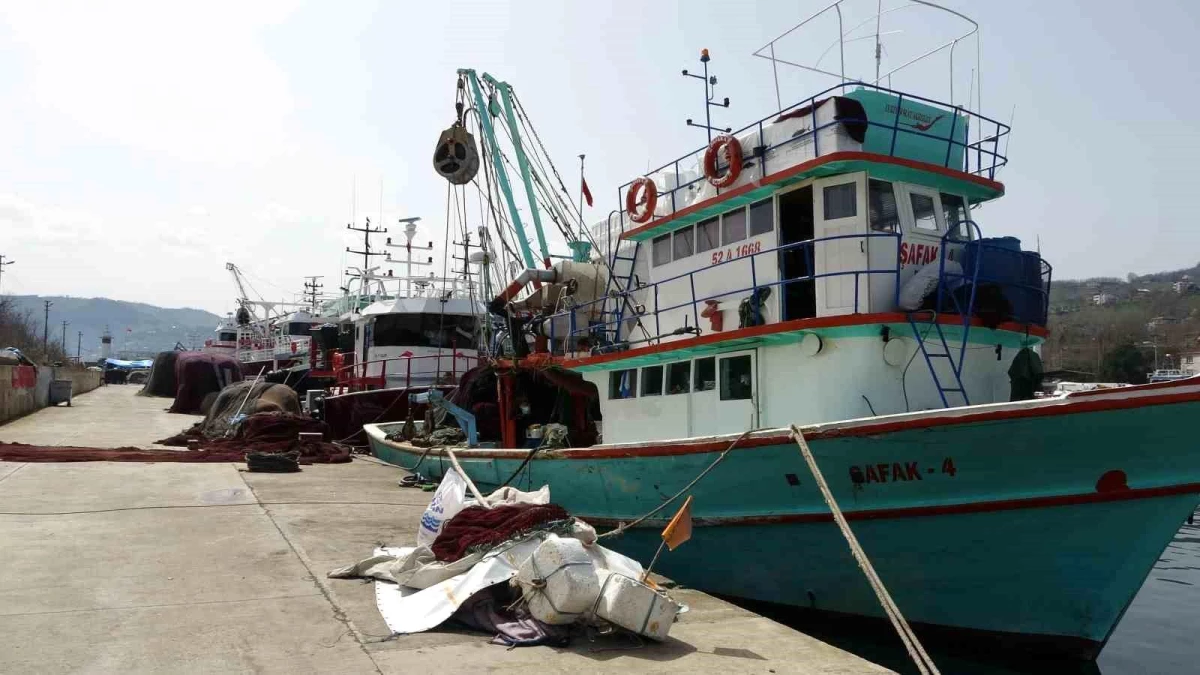 Karadeniz\'de Balıkçılar Sezonu Erken Bıraktı