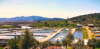 GEKA, Milas'ta Balık Depolama ve Paketleme Tesisi Projesine Destek Verdi