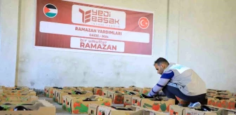 Yedi Başak İnsani Yardım Derneği, Filistin ve Gazze'ye 18 Tır Yardım Malzemesi Ulaştırdı