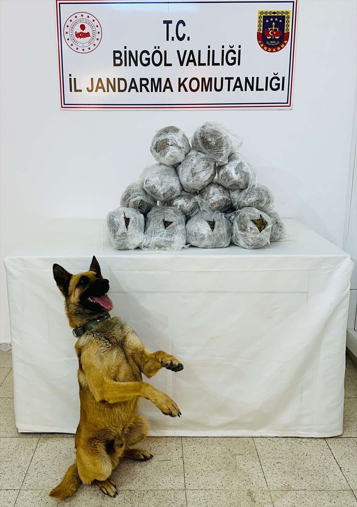 Bingöl\'ün Genç ilçesinde 8 kilo 750 gram kubar esrar ele geçirildi