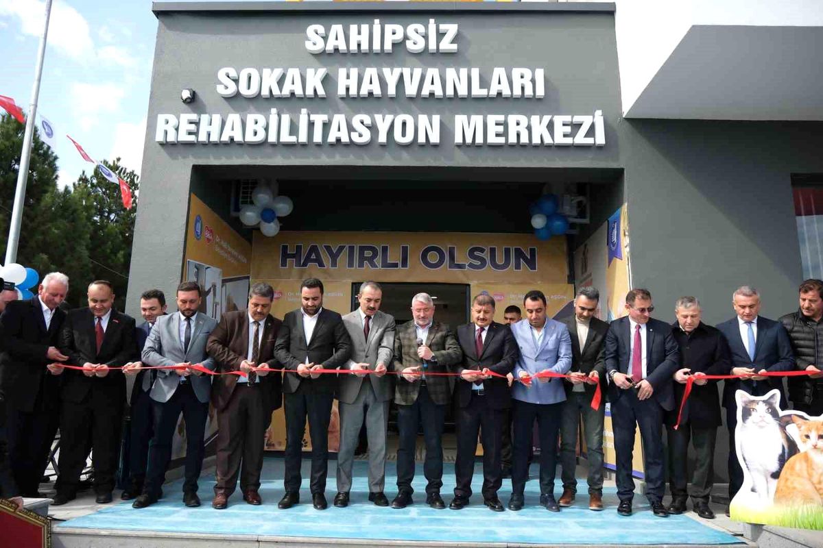 Çorum Belediyesi Hayvan Hastanesi Hizmete Açıldı