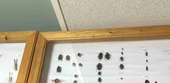 Yahyalar İlkokulu Öğrencileri Düzce Üniversitesi'nde Hayvan Müzesini İnceledi