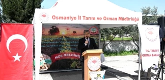 Osmaniye'de tarım arazilerinin kullanımı projesi kapsamında 340 çiftçiye 34 ton soya tohumu dağıtıldı