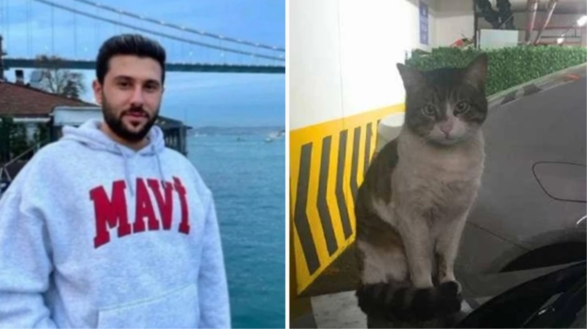 Kedi Eros\'un katiline verilen cezaya savcılıktan itiraz: "Yanılgıya düşüldü"