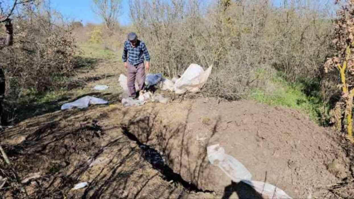 10 gündür aranan adamın cesedi toprağa gömülü bulunmuştu: Cinayet zanlısı, cesedin üzerine koyun ölüleri atmış