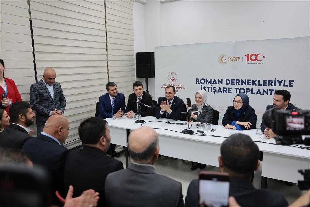 Cumhurbaşkanı Erdoğan, Roman Dernekleriyle İstişare Toplantısı\'na katıldı