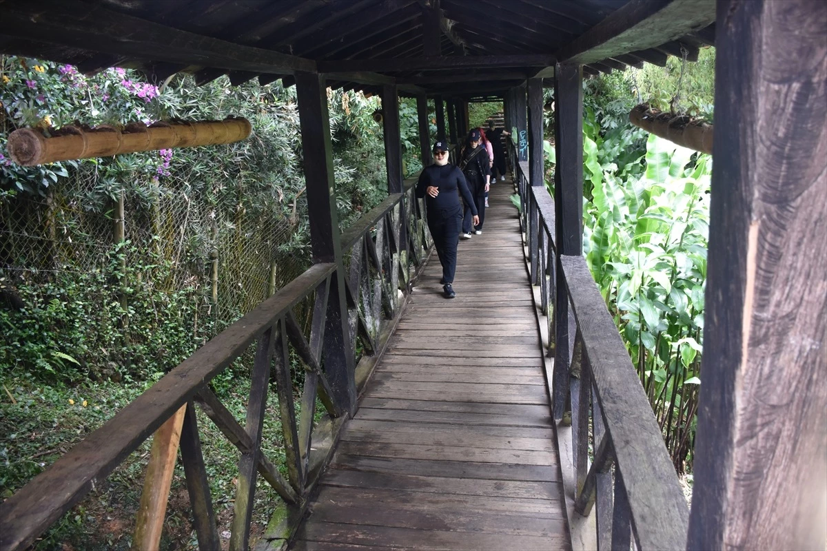 Kolombiya\'nın Jerico kasabası turistlerin gözdesi