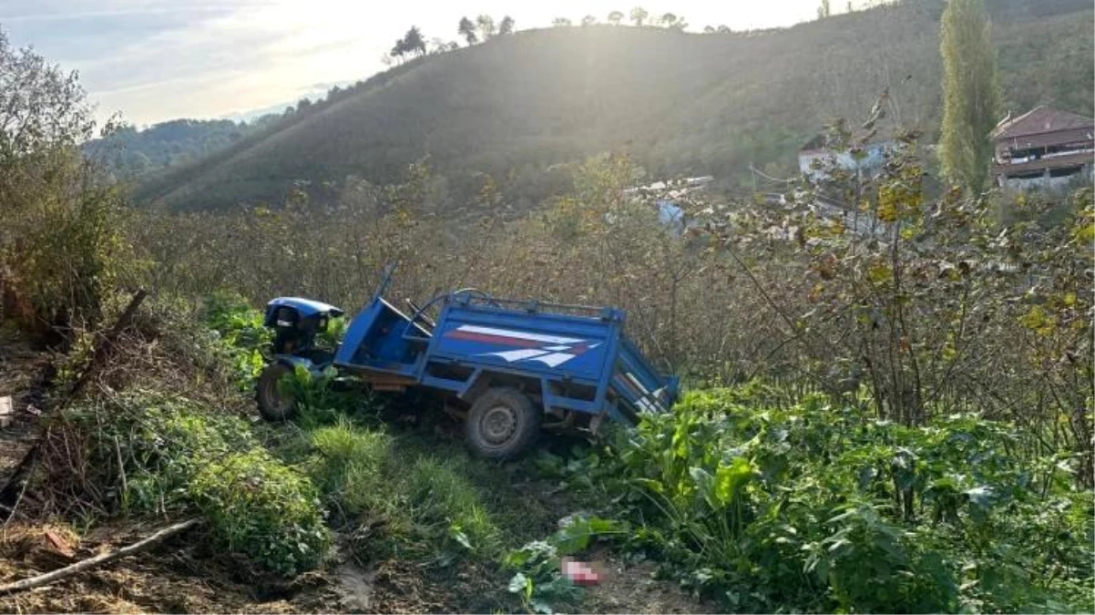 Zonguldak\'ın Alaplı ilçesinde tarım aracı devrildi, 1 kişi yaralandı