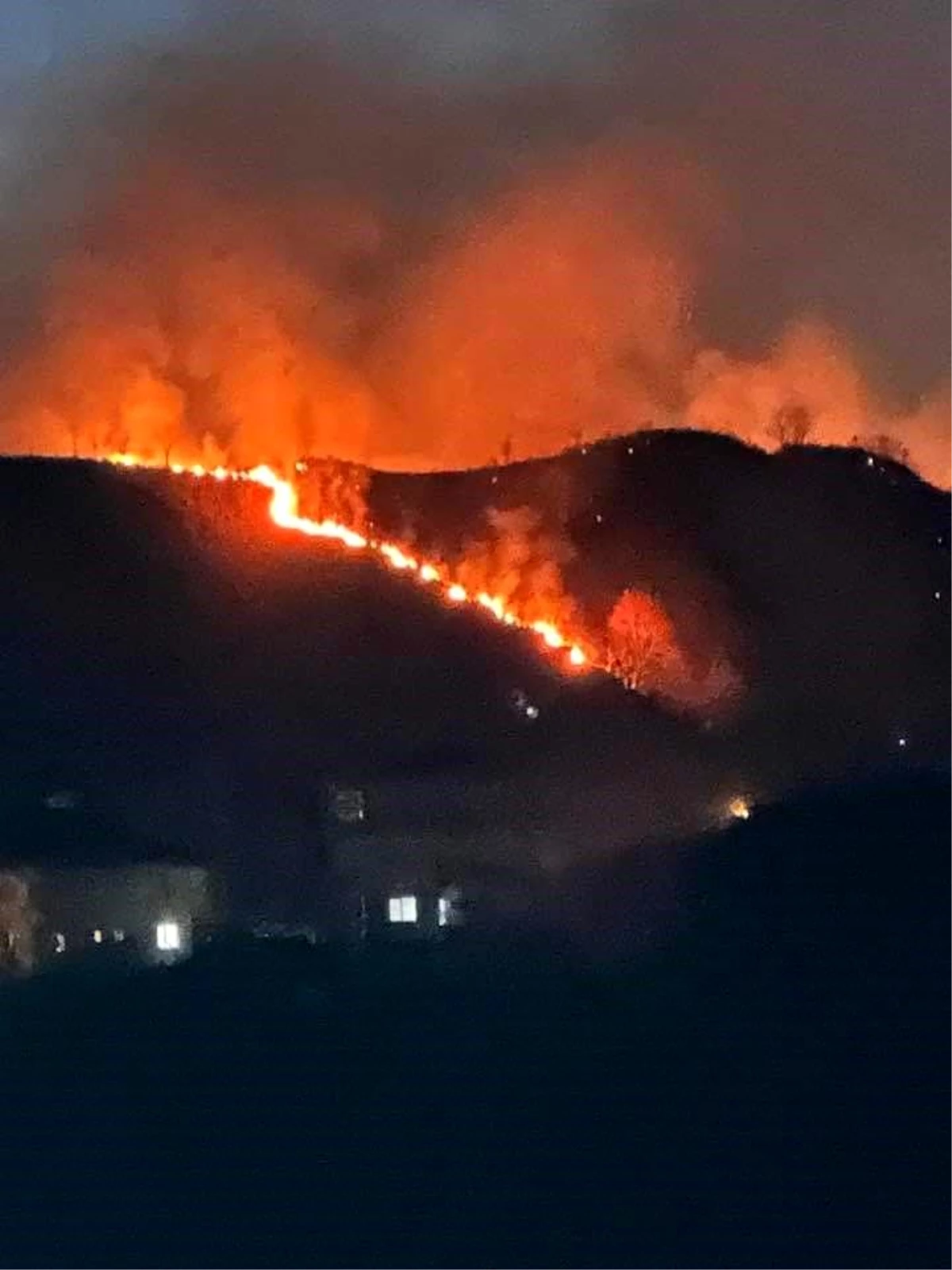 Trabzon\'un Of ilçesinde ormanlık alanda yangın çıktı